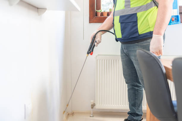 Best Wasp Removal Services  in Ewa Beach, HI