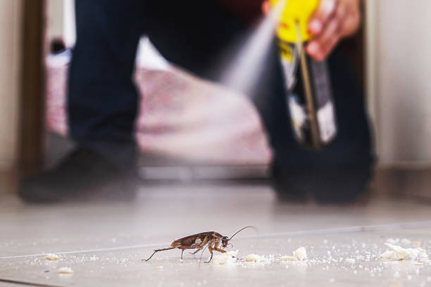 Insect Control in Ewa Beach, HI